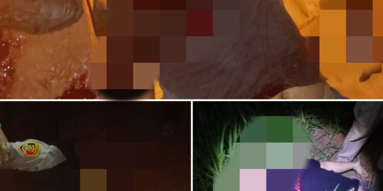 Breaking News, Kapolsek Negara Batin dan Dua Anggotanya Tewas Tertembak di Kepala Saat Grebek Arena Sabung Ayam